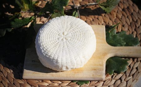 Doubravák-ricottový sýr