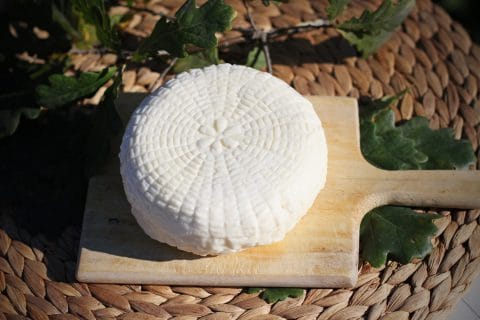 Doubravák-ricottový sýr